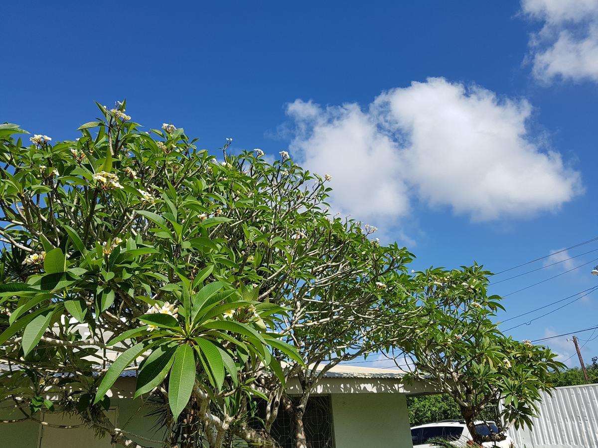 Saipan Family Residence Susupe Εξωτερικό φωτογραφία